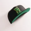 MINNESOTA NORTH STARS FITTED HAT