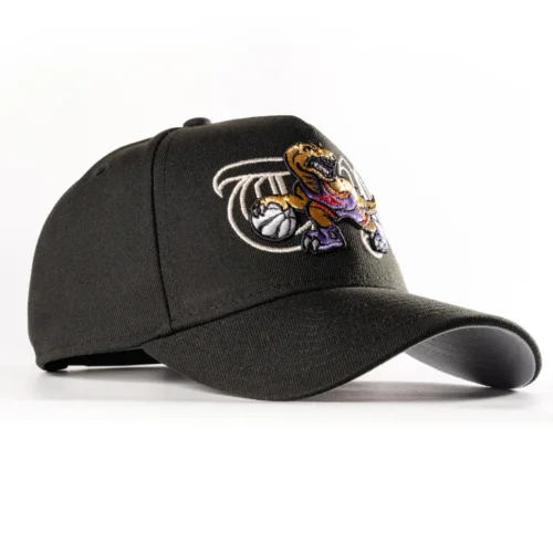 TORONTO RAPTORS TR 2.0 GOLD A-FRAME SNAPBACK HAT