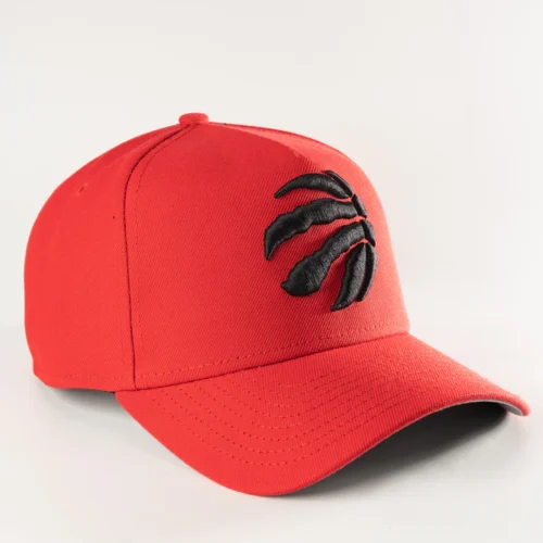 TORONTO RAPTORS-FRAME SNAPBACK HAT